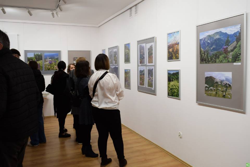 Powielanie zdjęcia jest dozwolone pod warunkiem podania źródła.